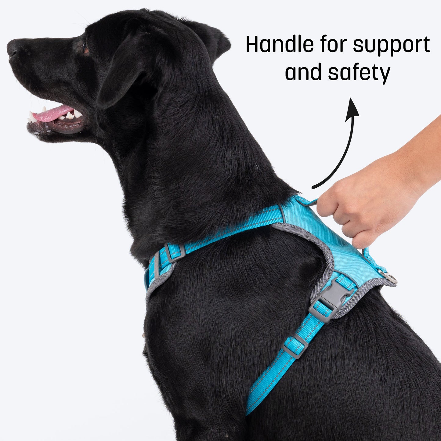 HUFT Active Pet Dog Harness - Light Blue_04