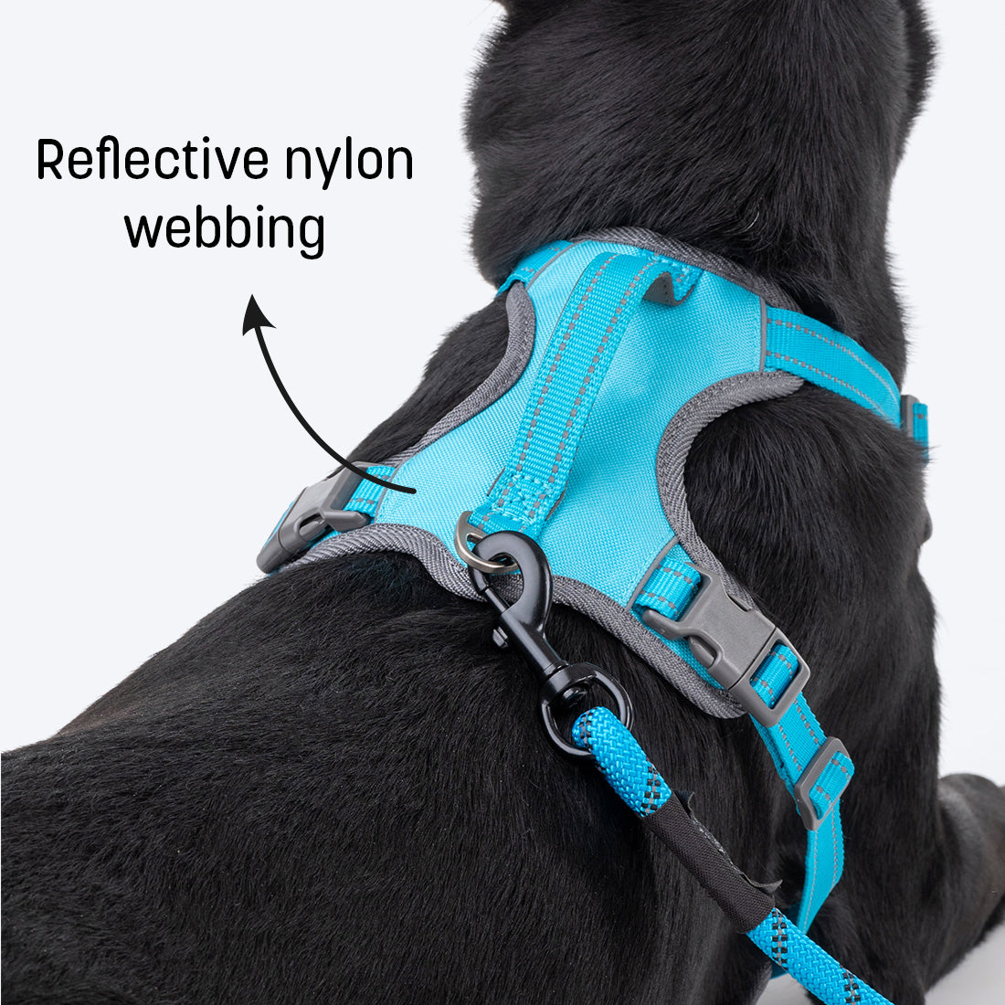 HUFT Active Pet Dog Harness - Light Blue_03