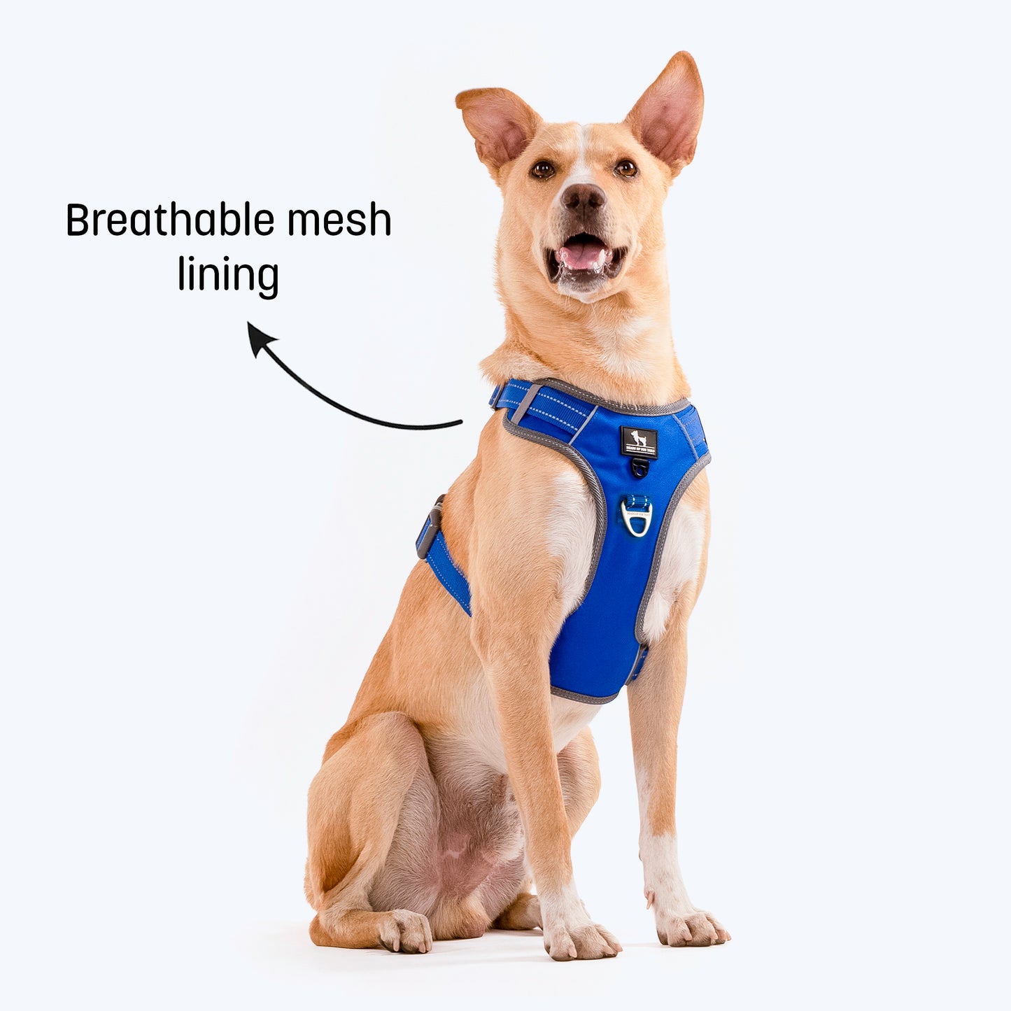 HUFT Active Pet Dog Harness - Royal Blue - Heads Up For Tails