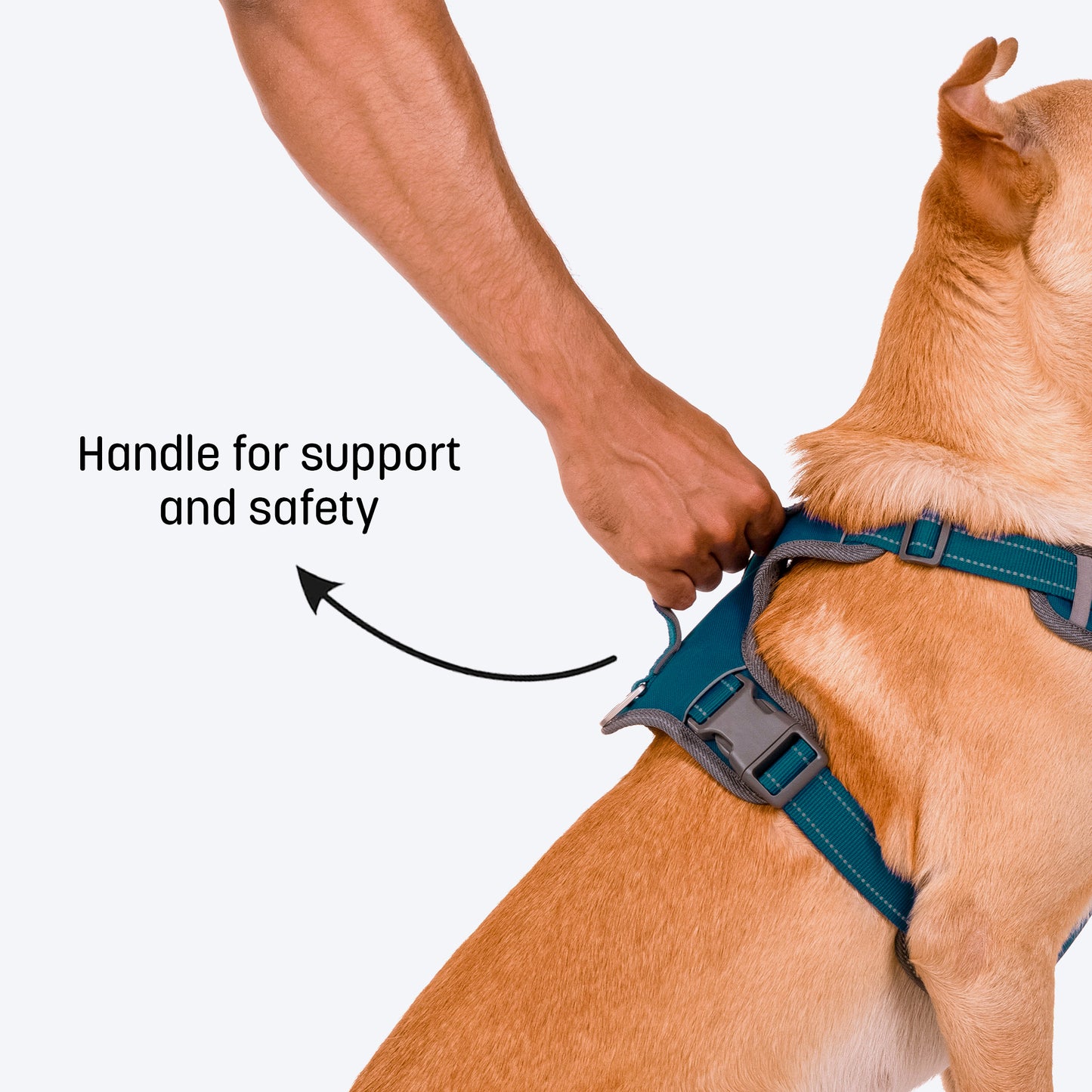 HUFT Active Pet Dog Harness - Teal Blue - Heads Up For Tails