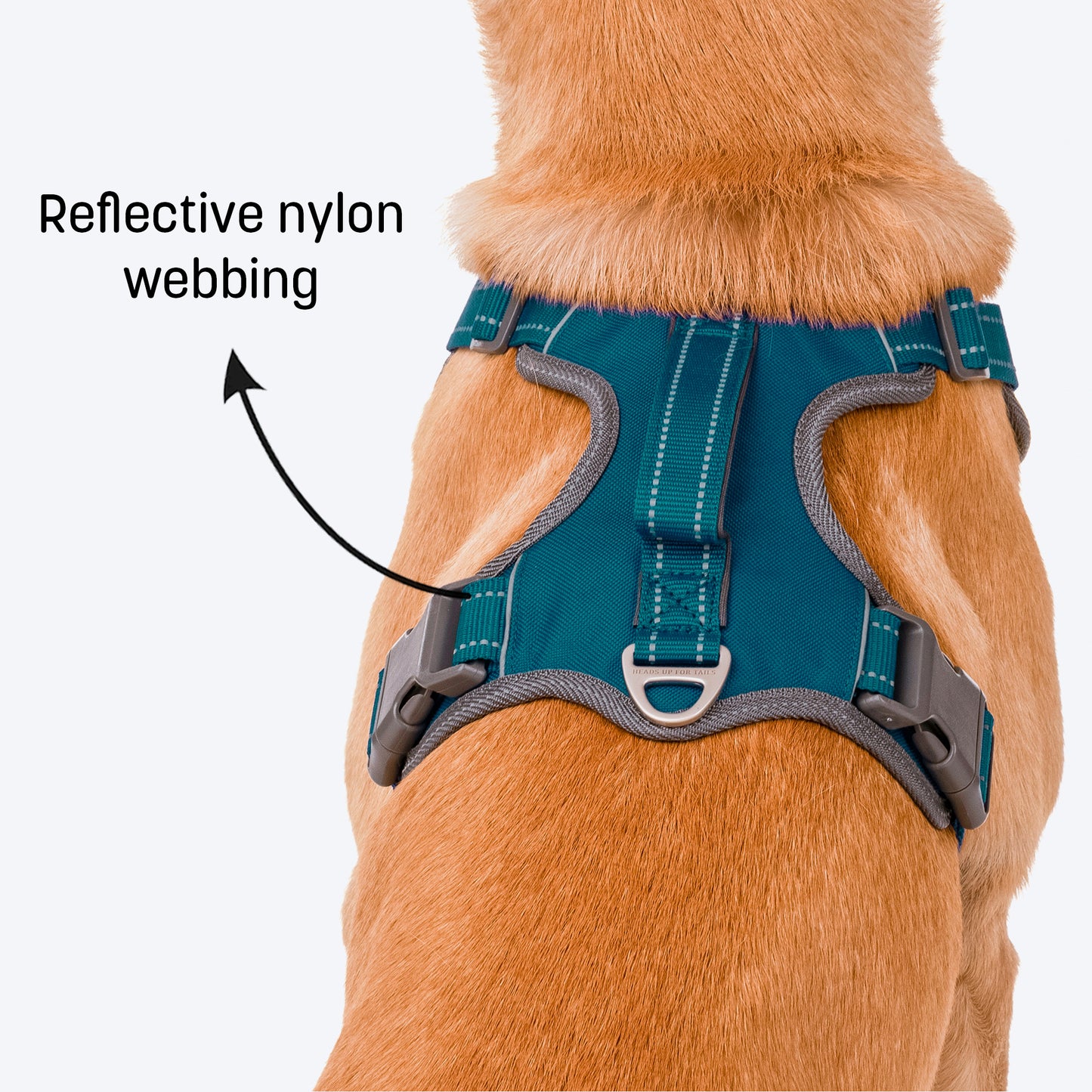 HUFT Active Pet Dog Harness - Teal Blue - Heads Up For Tails