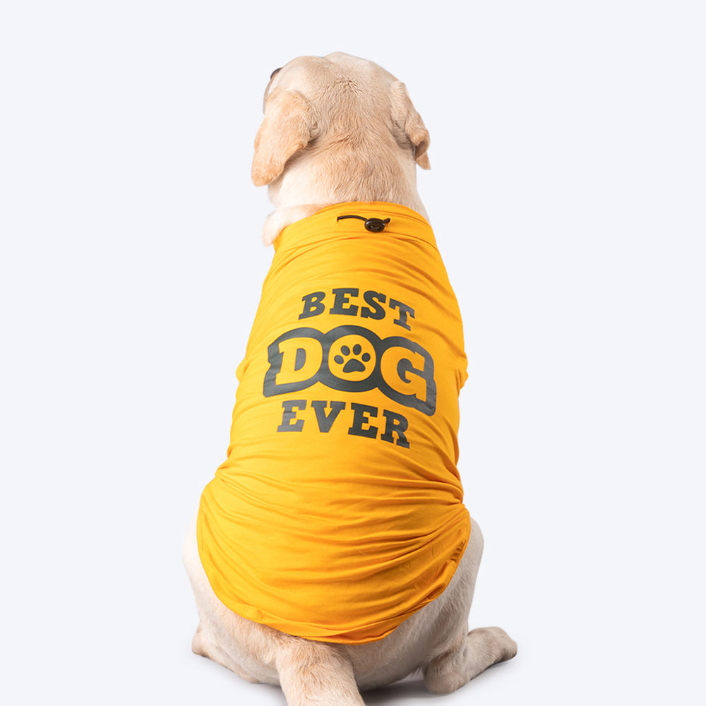 HUFT Best Dog Ever T-Shirt For Dog Yellow – Heads Up For Tails