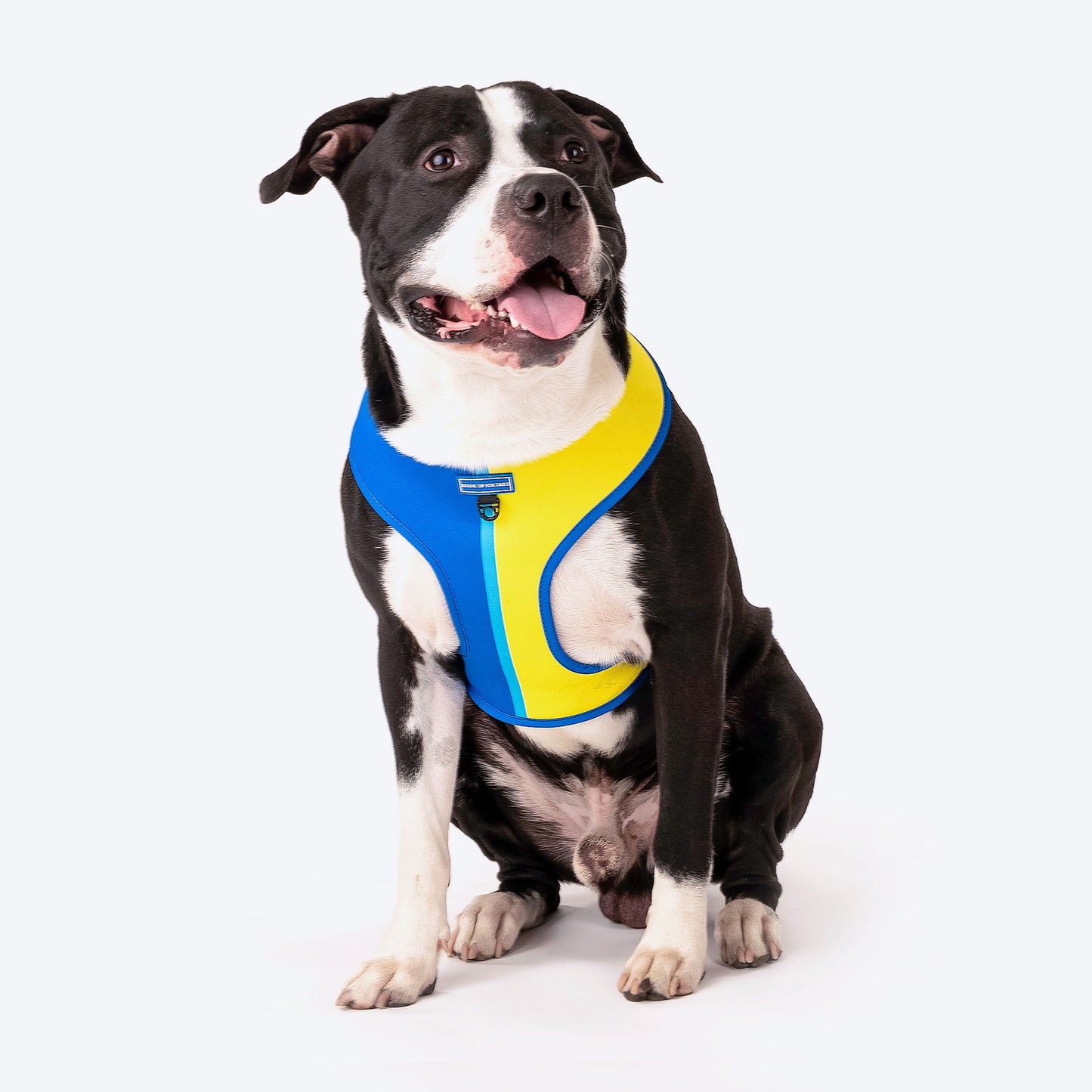 HUFT Blazing Blue Dog Reversible Harness - Heads Up For Tails