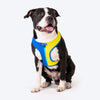 HUFT Blazing Blue Dog Reversible Harness - Heads Up For Tails