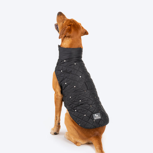 HUFT Luxe Stud Quilted Jacket For Dogs - Black - Heads Up For Tails