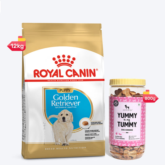 Royal Canin Golden Retriever Dry Food & YIMT Apple & Banana Biscuits For Puppy - Heads Up For Tails