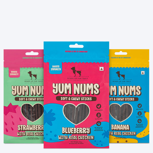 HUFT Yum Nums : Real Chicken & Fruity Soft Sticks Treat Combo For Dogs - 225 gm (Each 75 gm) - Heads Up For Tails