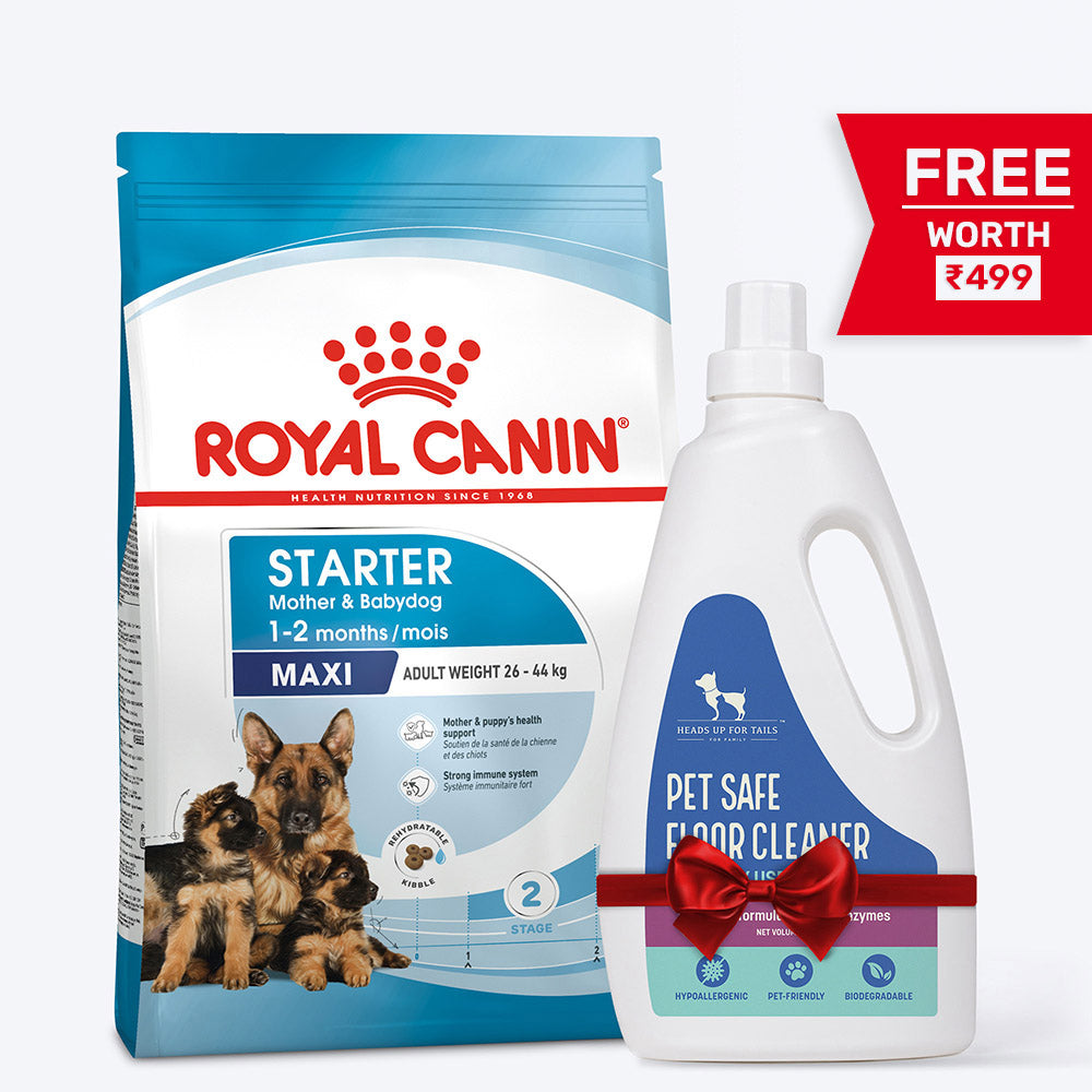 Royal Canin Maxi Starter Dry Dog Food