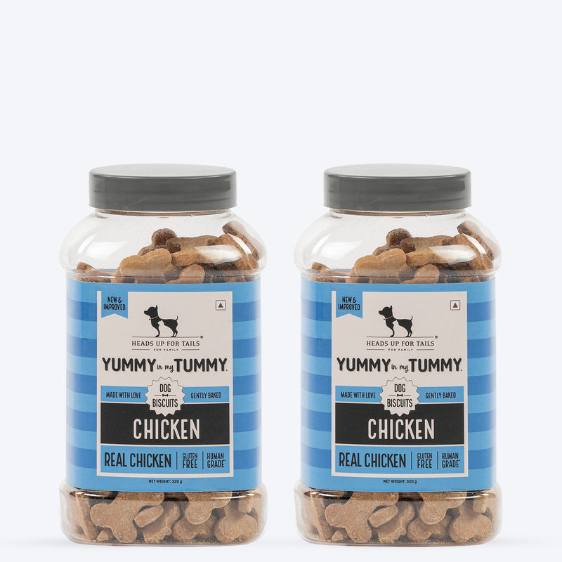 HUFT Yummy In My Tummy Chicken Gluten-Free Dog Biscuits 100% Human-Grade, Oven-Baked, Wheat-Free Treats - Heads Up For Tails