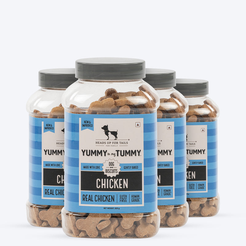 HUFT Yummy In My Tummy Chicken Gluten-Free Dog Biscuits 100% Human-Grade, Oven-Baked, Wheat-Free Treats - Heads Up For Tails