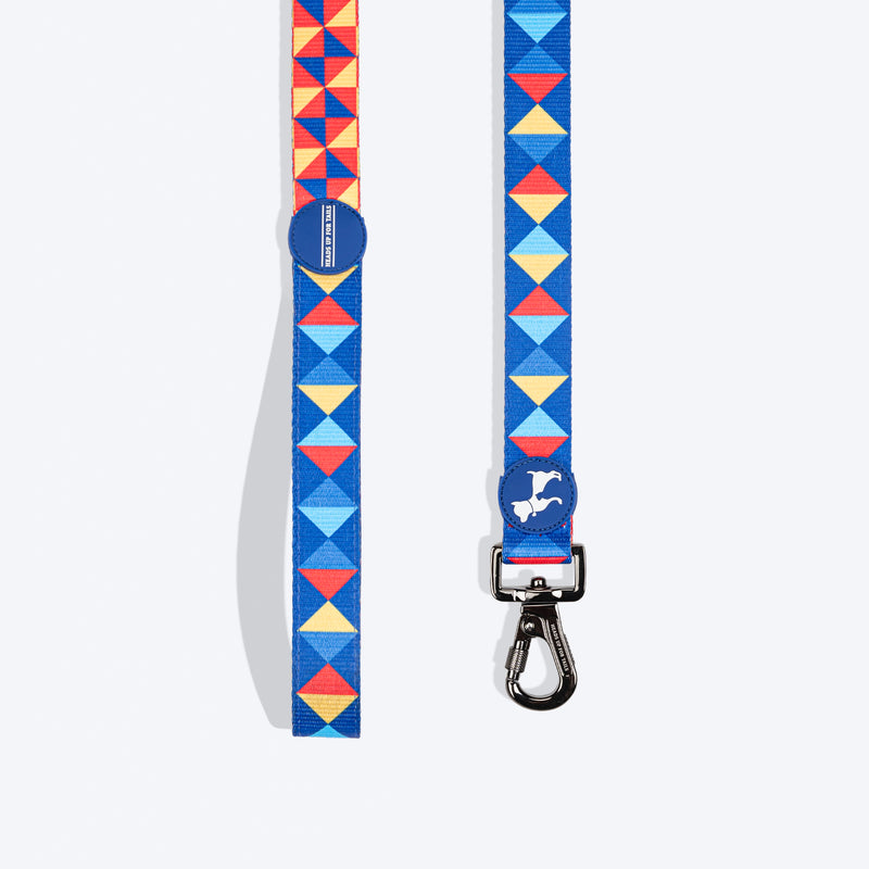 HUFT Prism Patterns Leash For Dog - Blue - Heads Up For Tails