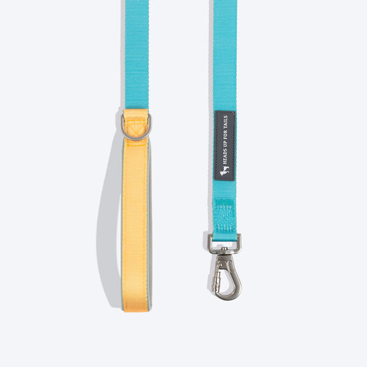 HUFT Dichromatic Leash For Dog - Turquoise & Yellow - Heads Up For Tails