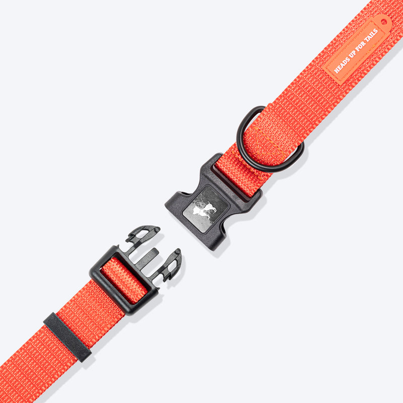 HUFT Personalised Classic Dog Collar - Rust Orange - Heads Up For Tails