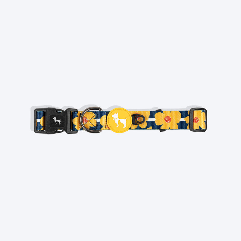 HUFT Daisy Stripes Collar For Dog - Blue & Yellow - Heads Up For Tails