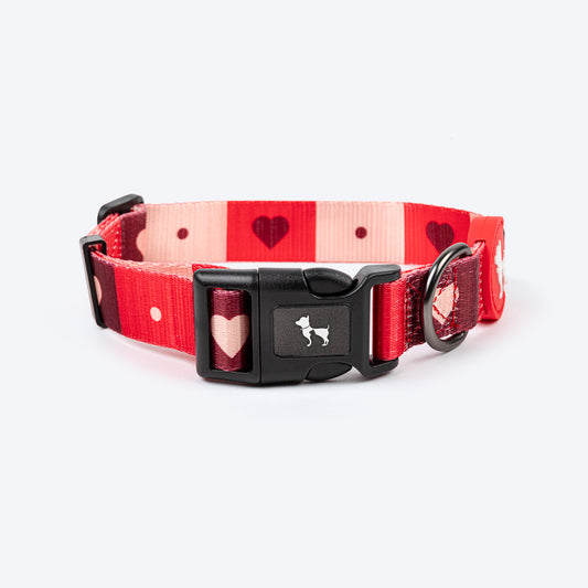 HUFT Heart Trails Collar For Dog - Red