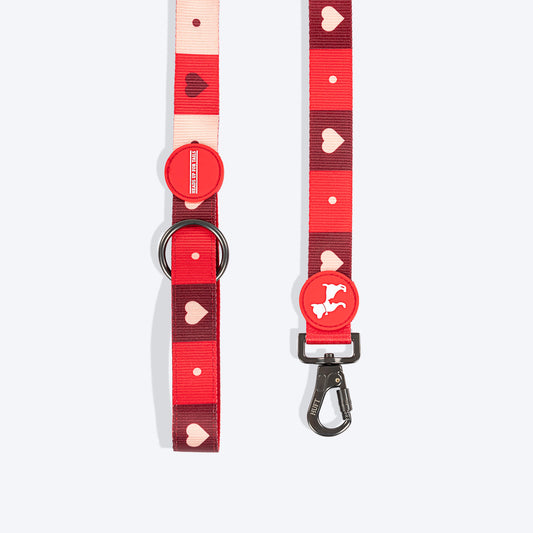 HUFT Heart Trails Leash For Dog - Red