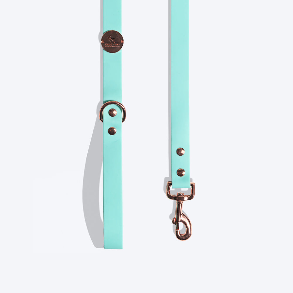 HUFT Pastel Pawprint Rain Friendly Dog Leash - Green - 1.2 m - Heads Up For Tails