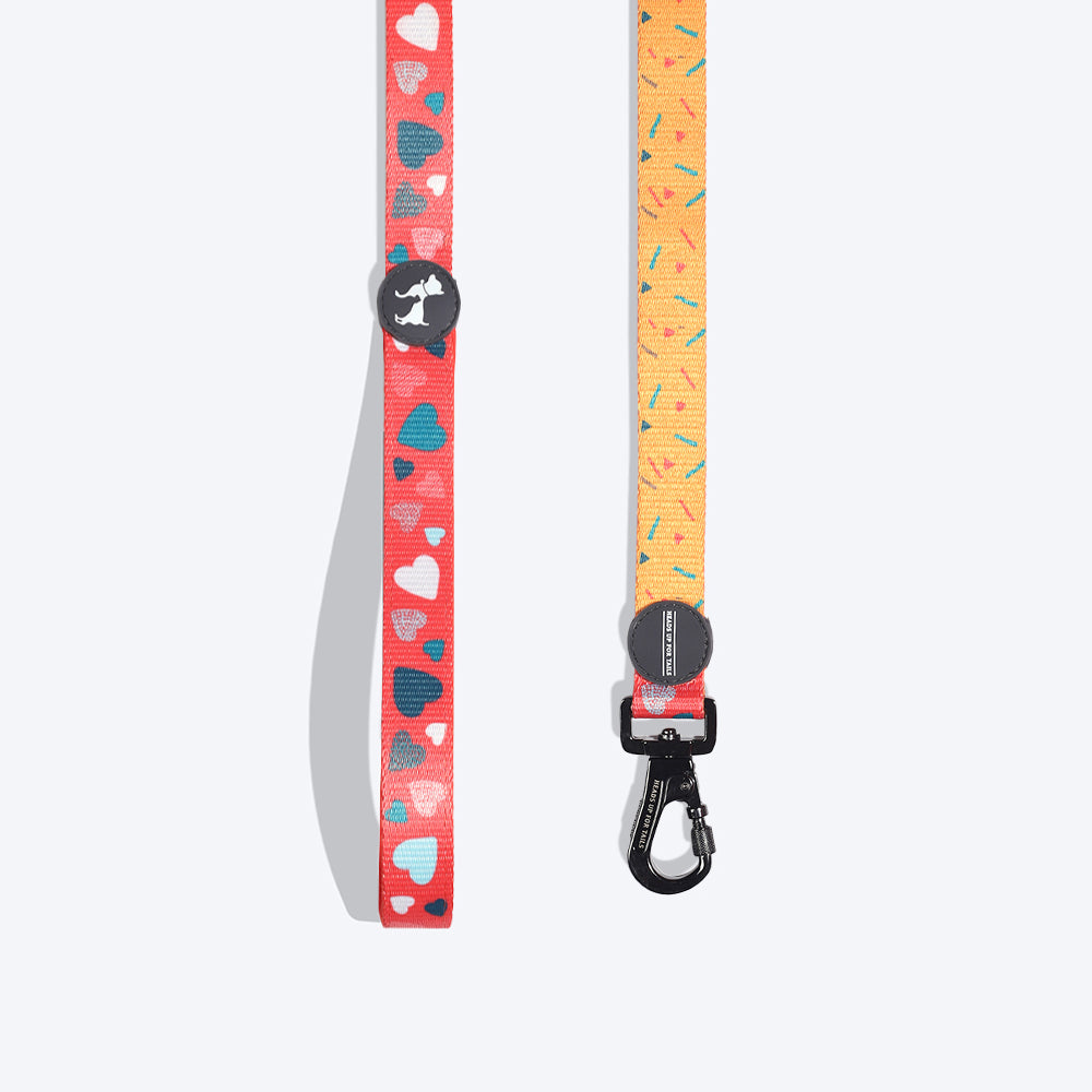 HUFT Endless Joy Printed Dog Leash - Heads Up For Tails