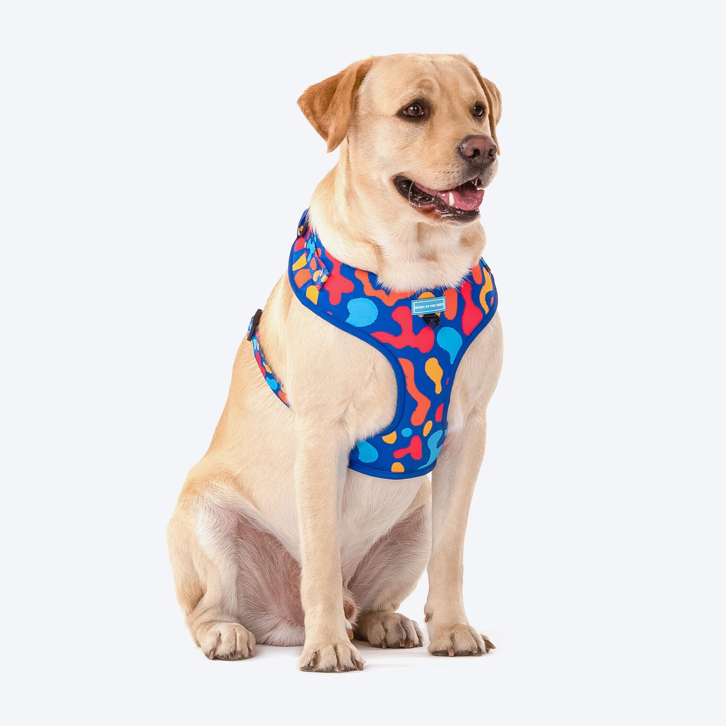 HUFT Colour Craze Dog Adjustable Harness - Heads Up For Tails