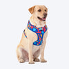 HUFT Colour Craze Dog Adjustable Harness - Heads Up For Tails