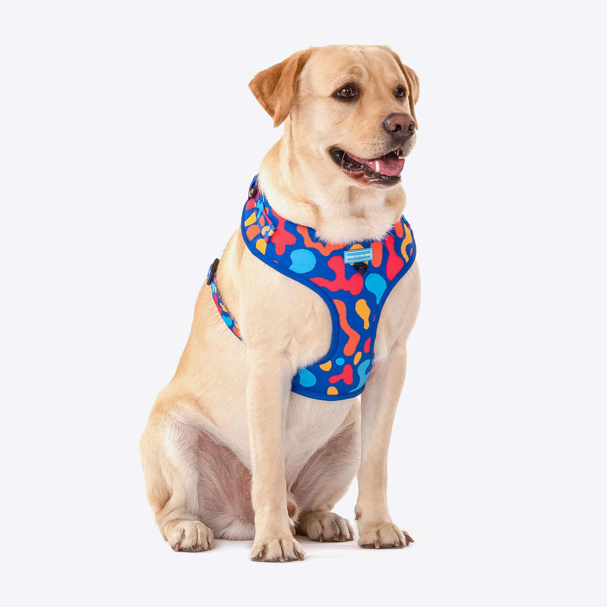 HUFT Colour Craze Dog Adjustable Harness - Heads Up For Tails