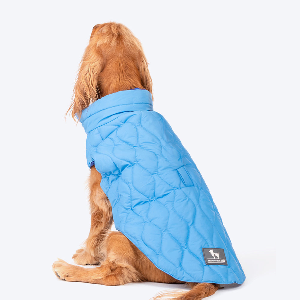HUFT Cosy Pupper Reversible Dog Jacket- Ocean Blue - Heads Up For Tails