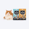 Meowsi by HUFT Double Crunch Cat Treats Combo - Heads Up For Tails