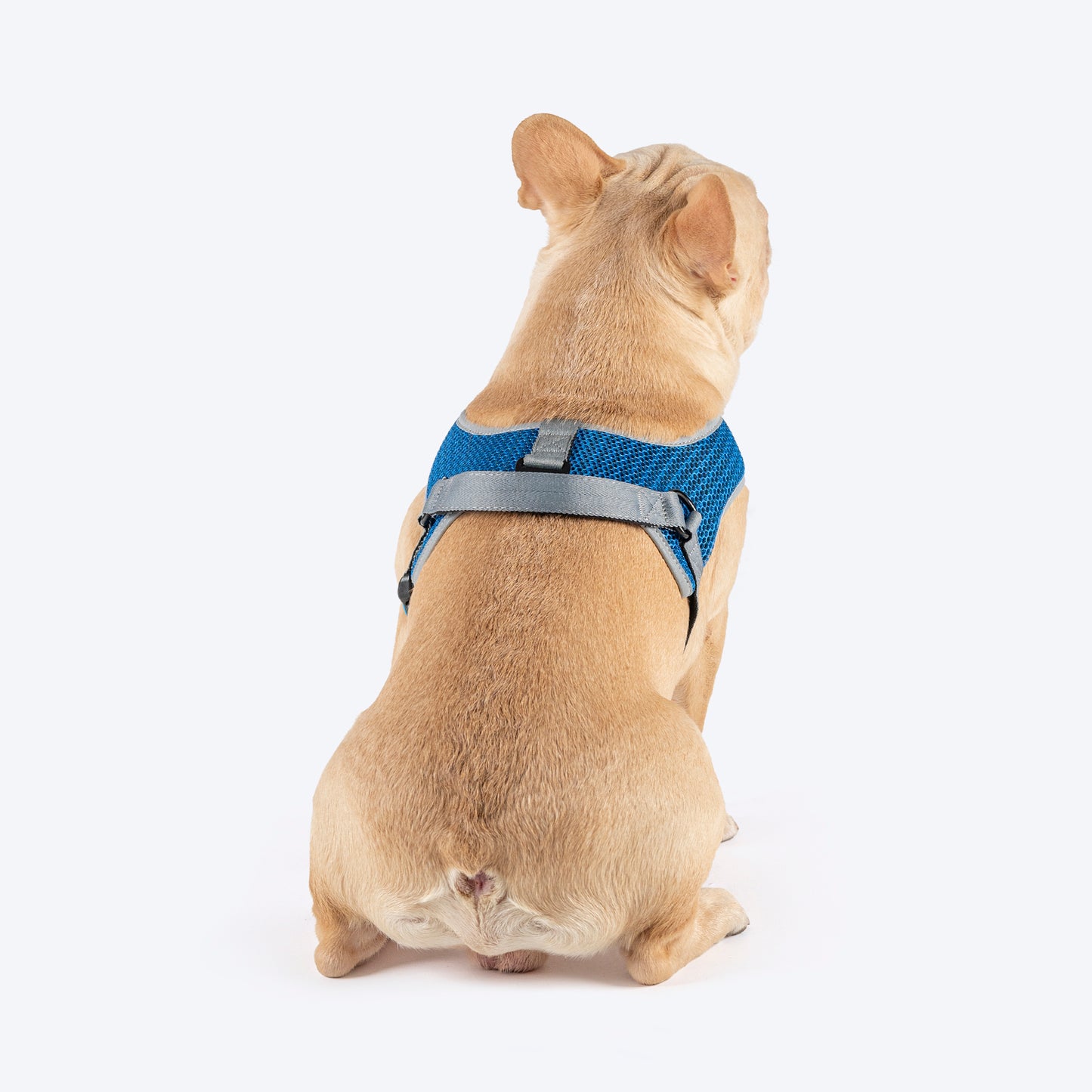 HUFT Easy Fit U-Harness For Dog - Blue - Heads Up For Tails