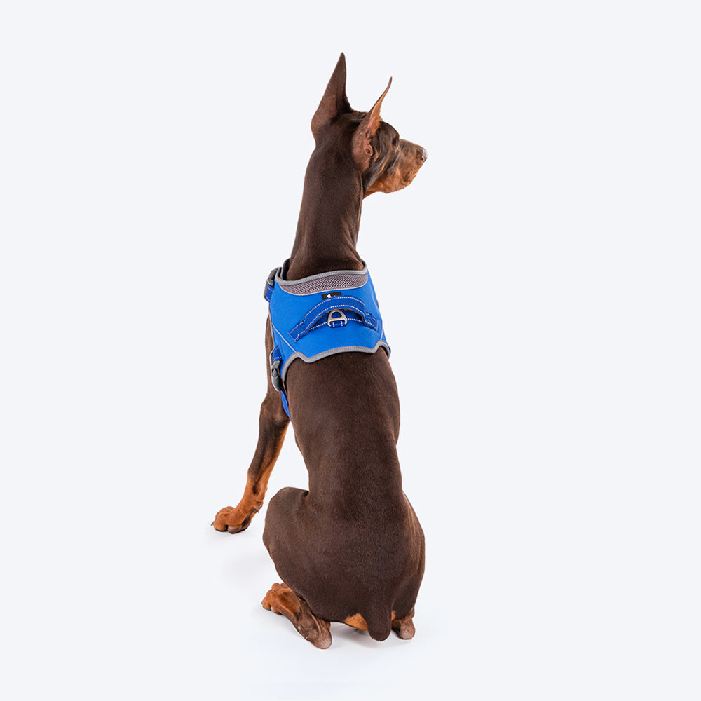 HUFT Easy On Dog Harness - Blue - Heads Up For Tails
