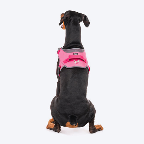 HUFT Easy On Dog Harness - Pink - Heads Up For Tails