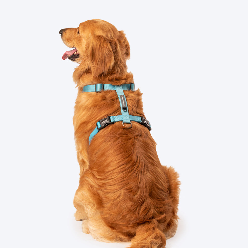 HUFT Essentials Nylon Dog H-Harness - Aqua Blue - Heads Up For Tails