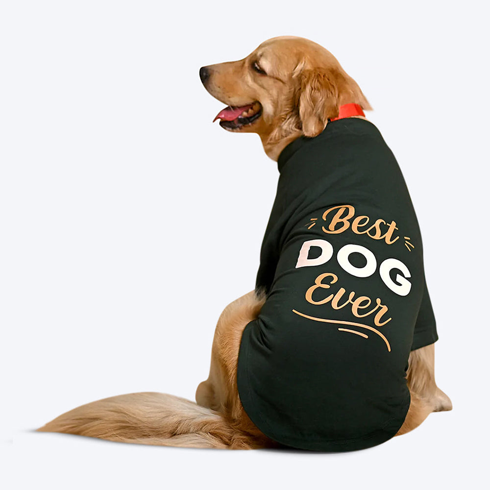 HUFT Fleece Dog Sweatshirt - Dark Green - Heads Up For Tails