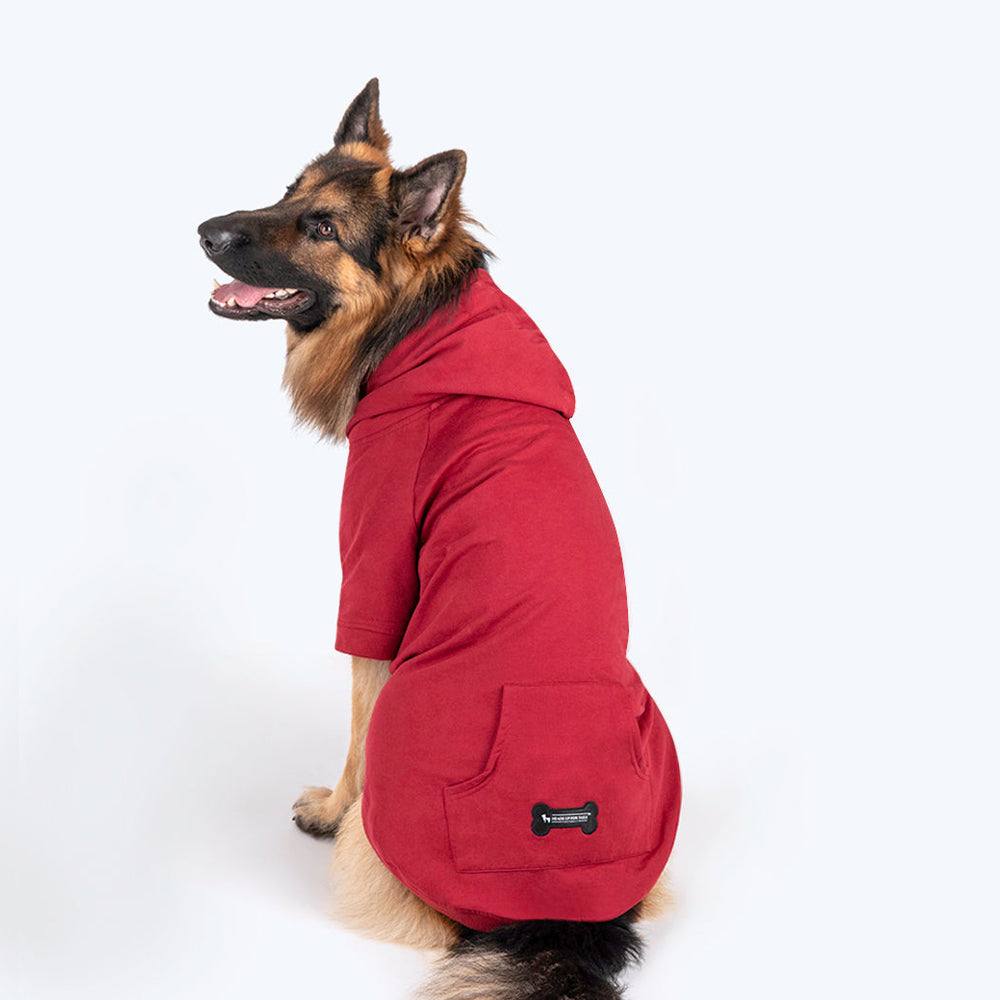 HUFT Sweatshirt for Dogs - Maroon - Heads Up For Tails