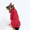 HUFT Sweatshirt for Dogs - Maroon - Heads Up For Tails