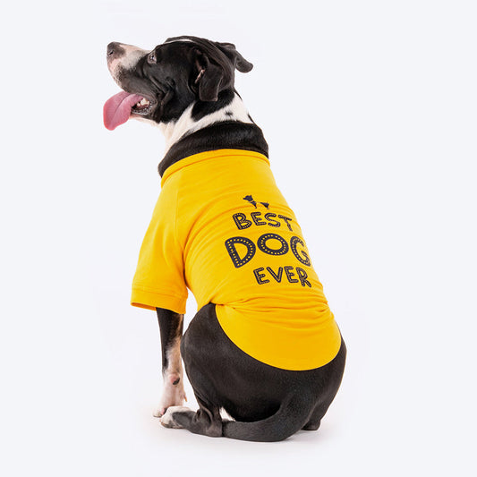 HUFT Best Dog Ever Pet Sweatshirt - Yellow - Heads Up For Tails