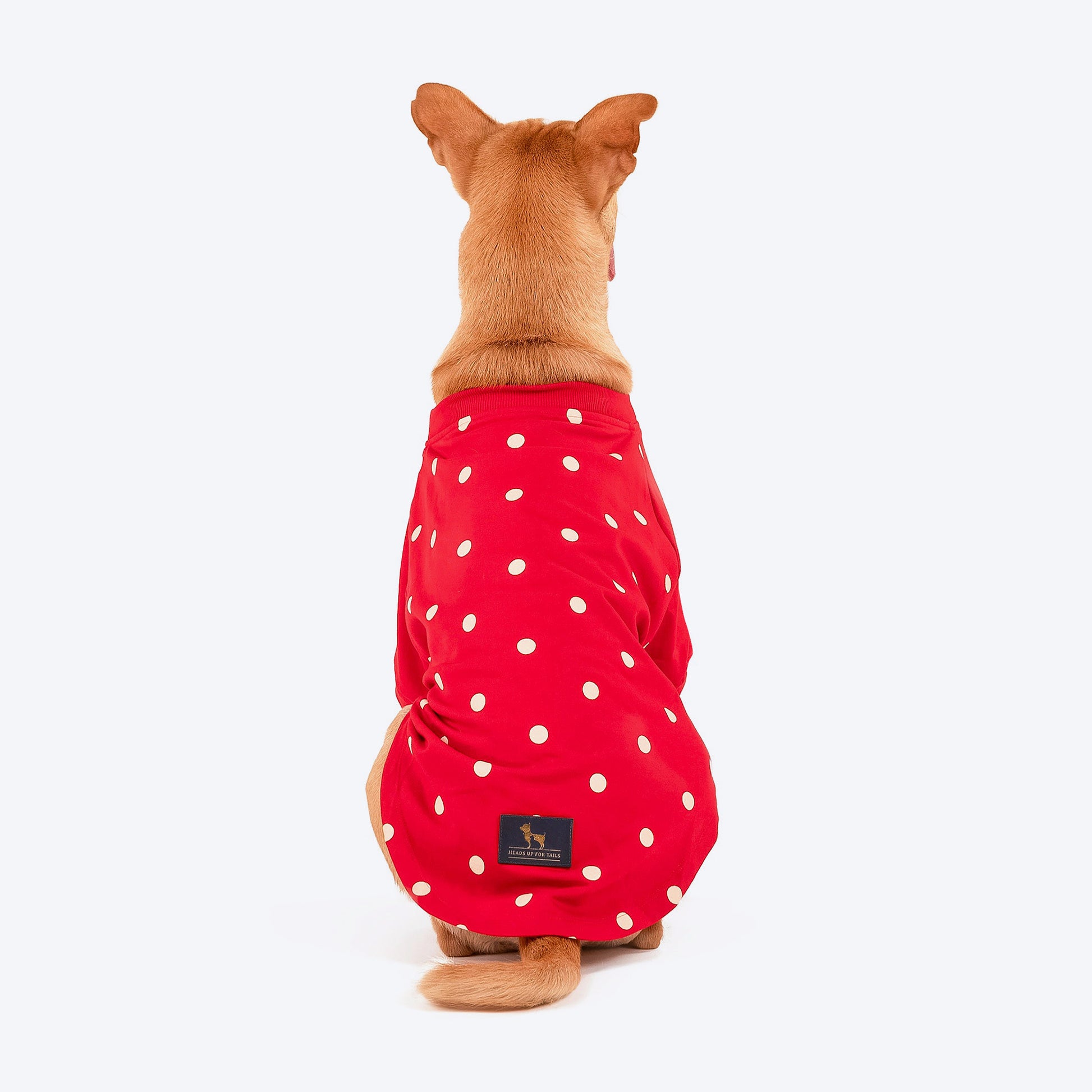 HUFT Polka Dot Sweatshirt For Dogs & Cats - Red - Heads Up For Tails