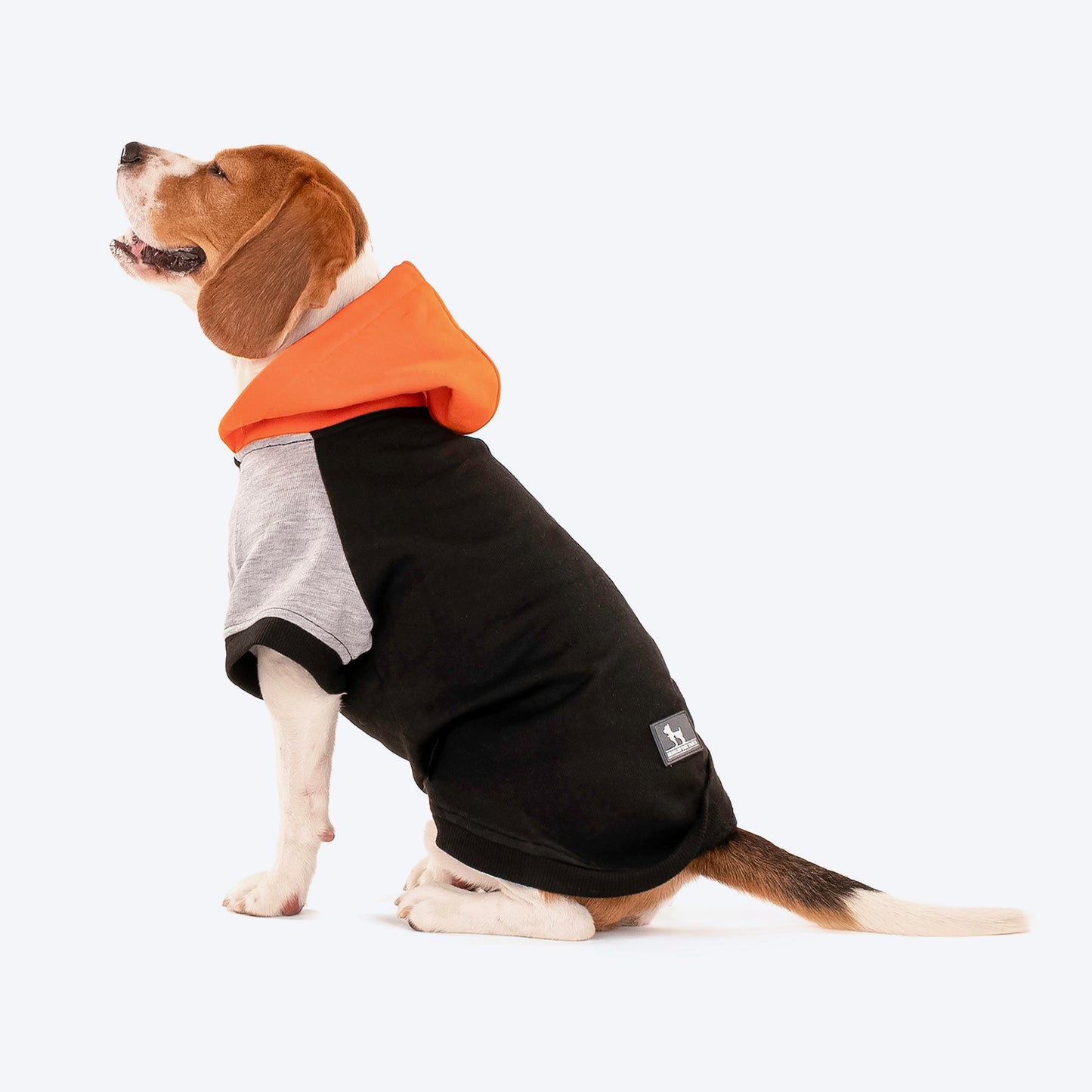 HUFT Colour Block Hoodie Sweatshirt For Dogs & Cats- Black - Heads Up For Tails