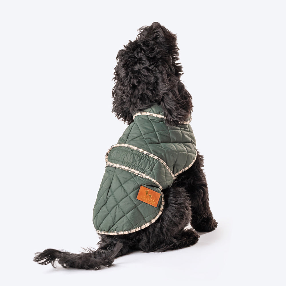 HUFT Grrberry Quilted Dog Jacket- Forest Green - Heads Up For Tails