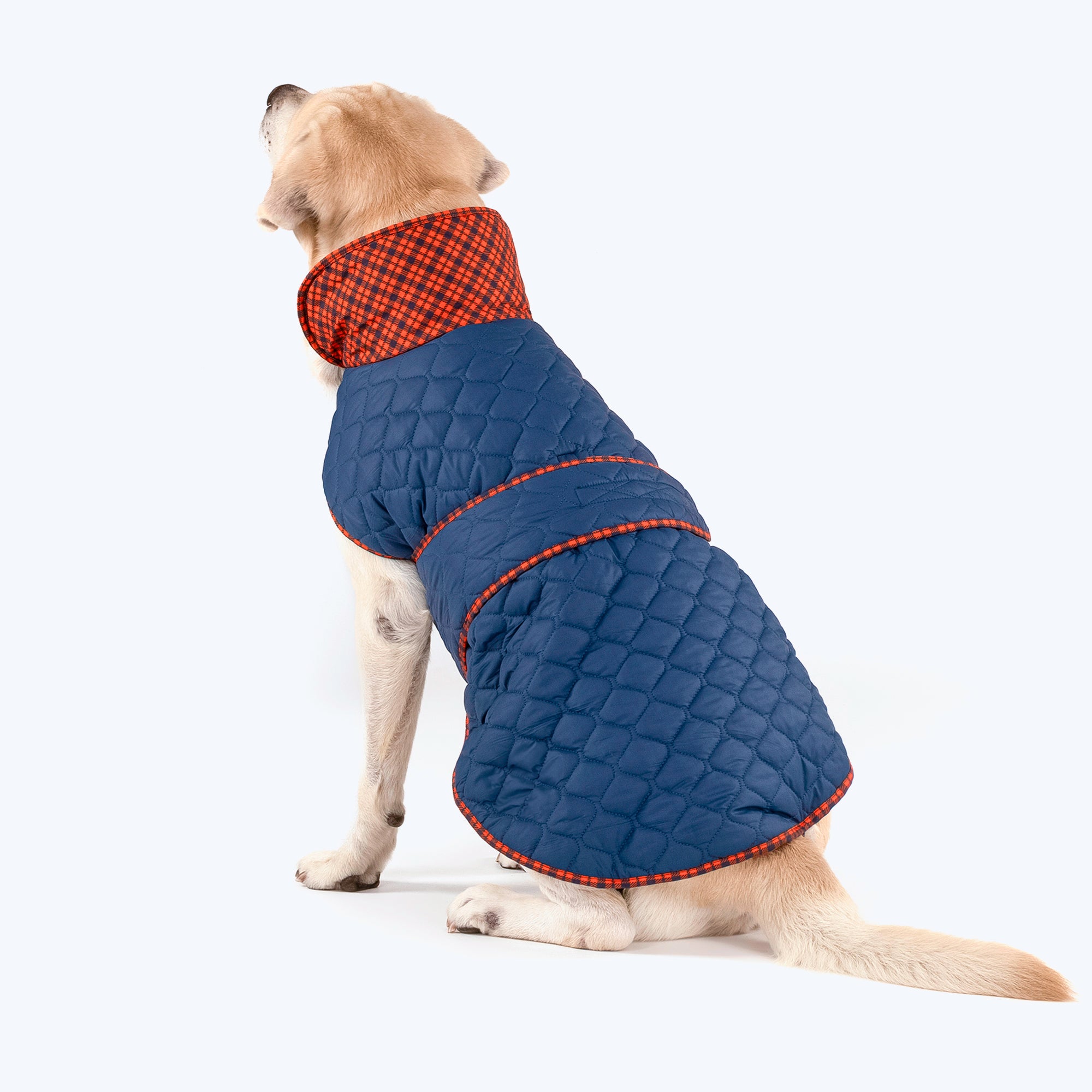 HUFT Grrberry Quilted Dog Jacket Teal Blue