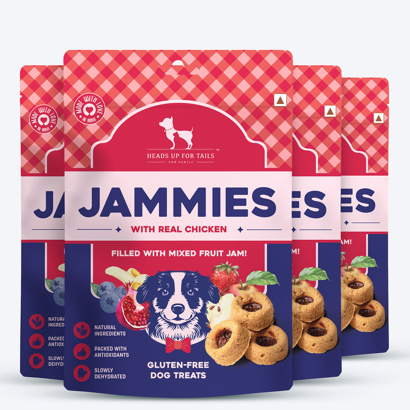 HUFT Jammies - Chicken Filled With Mixed Fruit Jam Dog Treats - 100 g - Heads Up For Tails