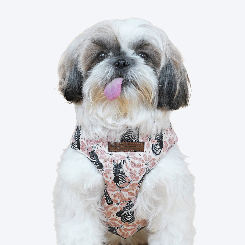 HUFT Jungle Collection Savanna's Dazzle Reversible Dog Harness - Heads Up For Tails