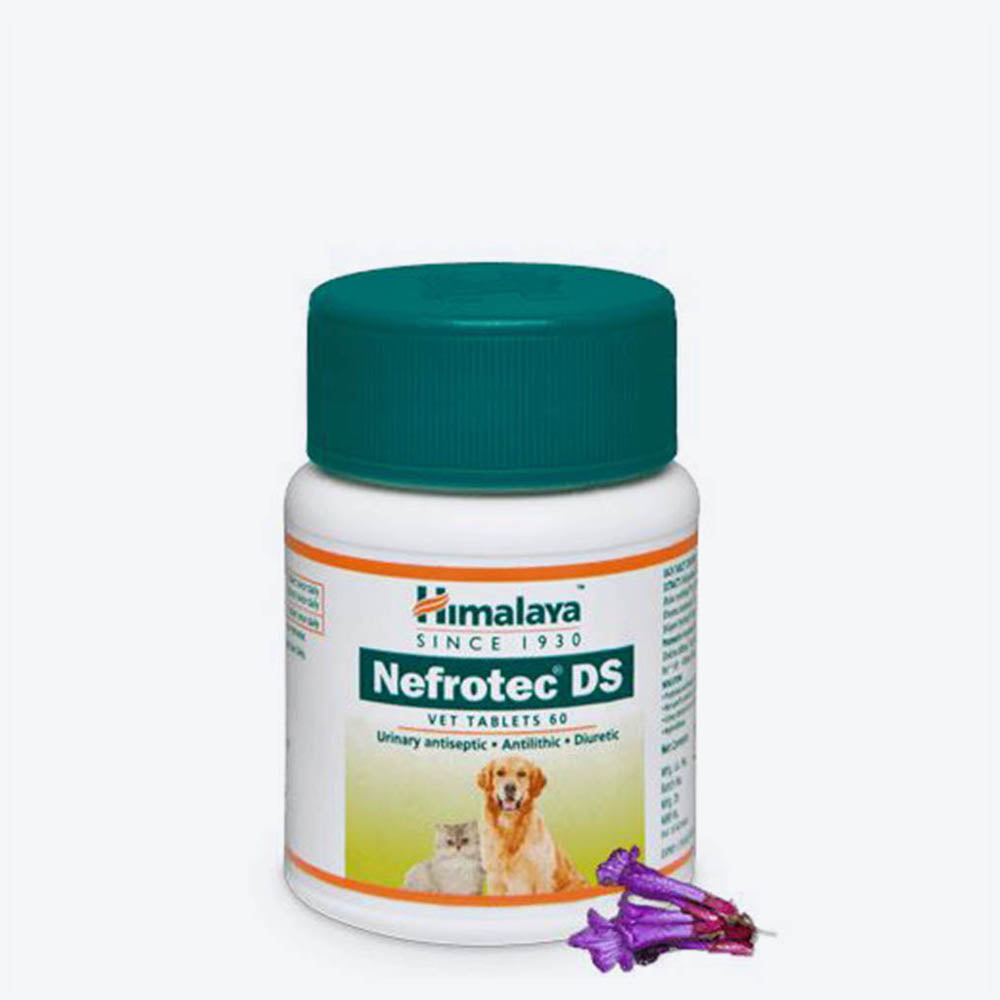 Himalaya Nefrotech DS Vet - Antilithic, Diuretic and Urinary Antiseptic Tablets For Dog & Cat - 60 Tabs - Heads Up For Tails