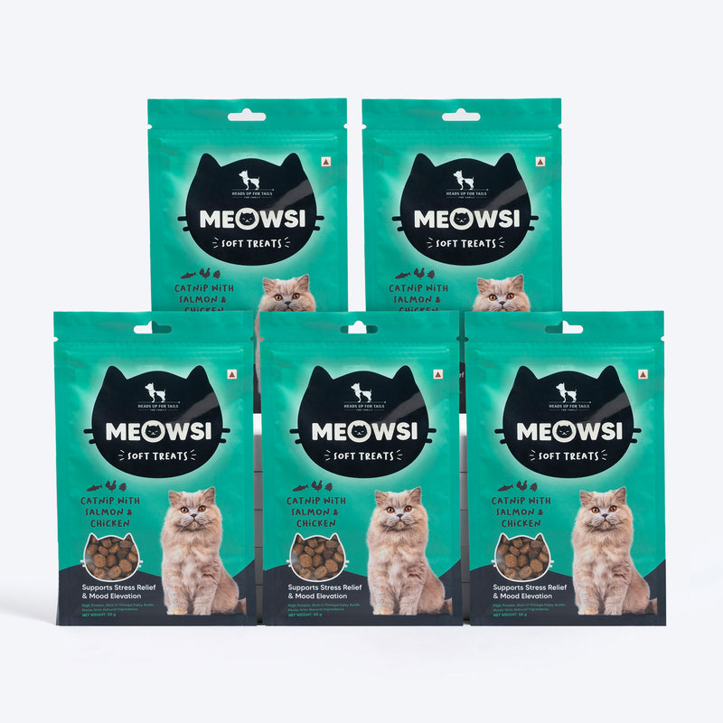 Meowsi by HUFT Catnip with Salmon & Chicken Soft Treats, 50 gm, features a green packaging with a cat graphic.
