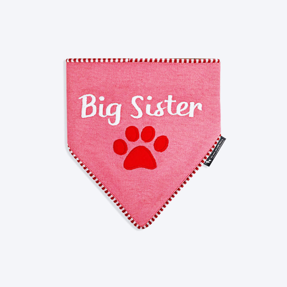 HUFT Big Sister Dog Bandana - Heads Up For Tails
