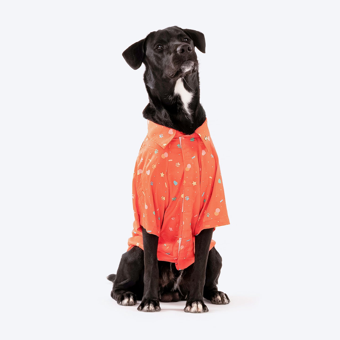HUFT Party Ready Dog Shirt (Made to Order) - Heads Up For Tails