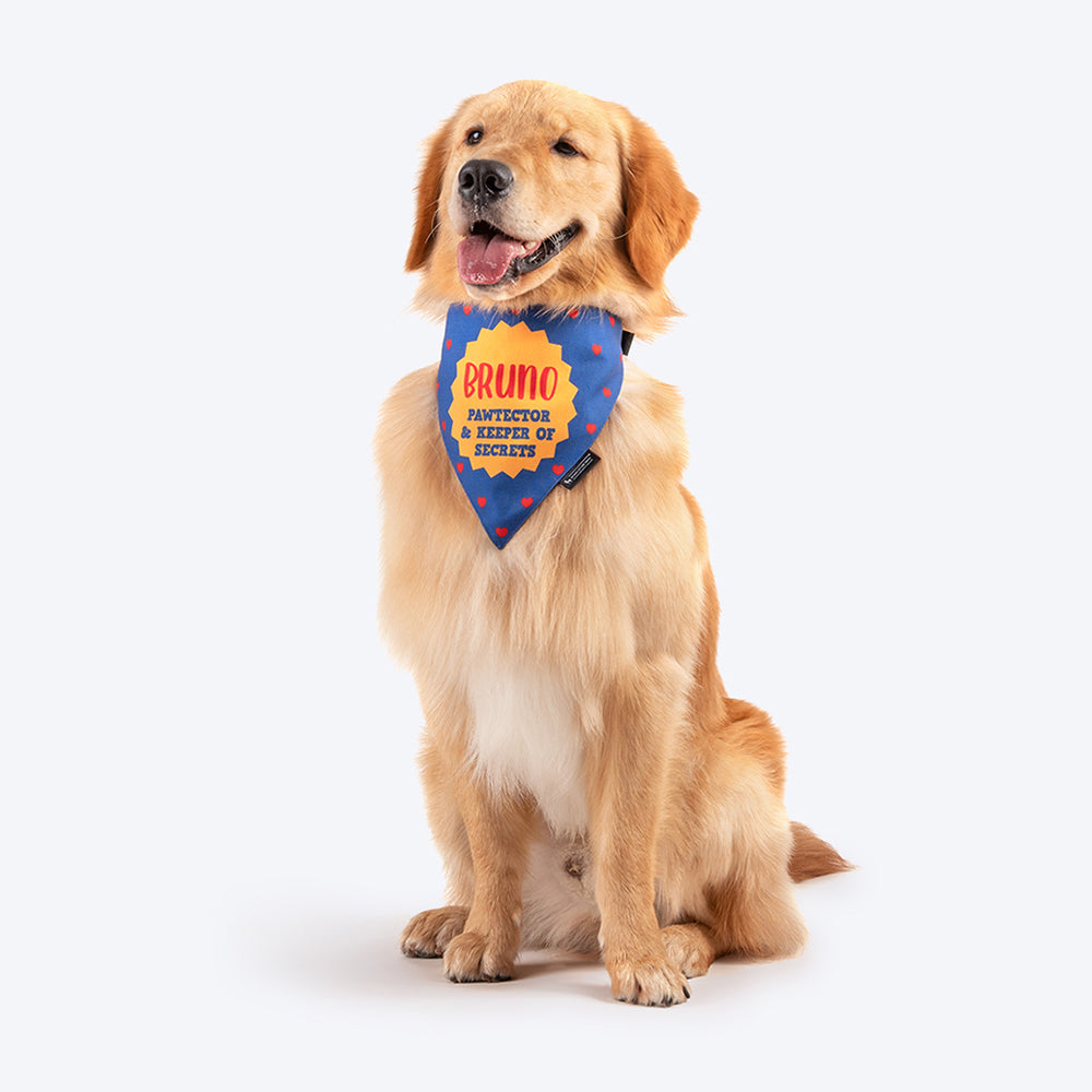 HUFT Personalised Brother - Pawtector & Keeper of Secrets Dog Bandana - Heads Up For Tails