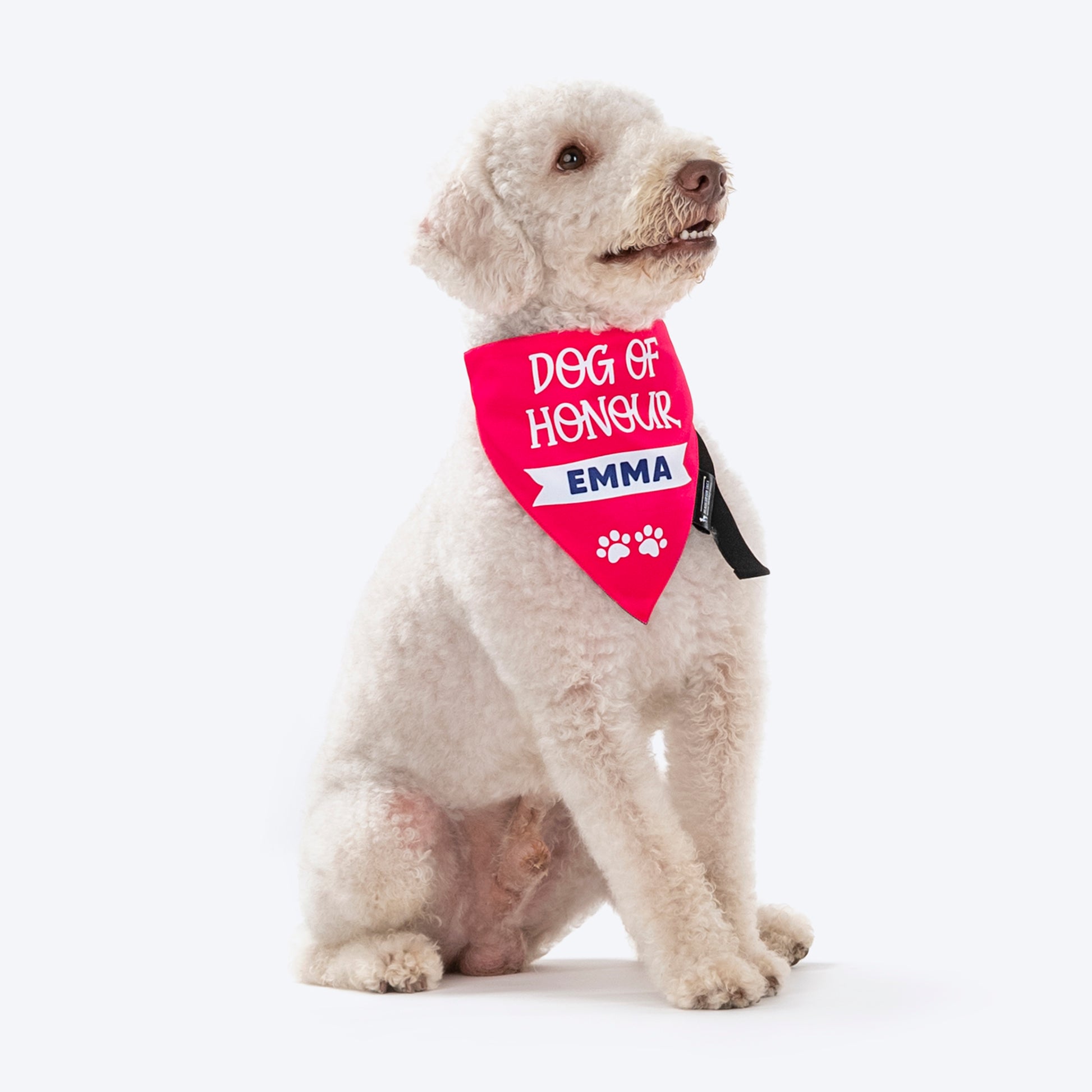 HUFT Personalised Dog Of Honour (Name) Proposal Dog Bandana - Heads Up For Tails