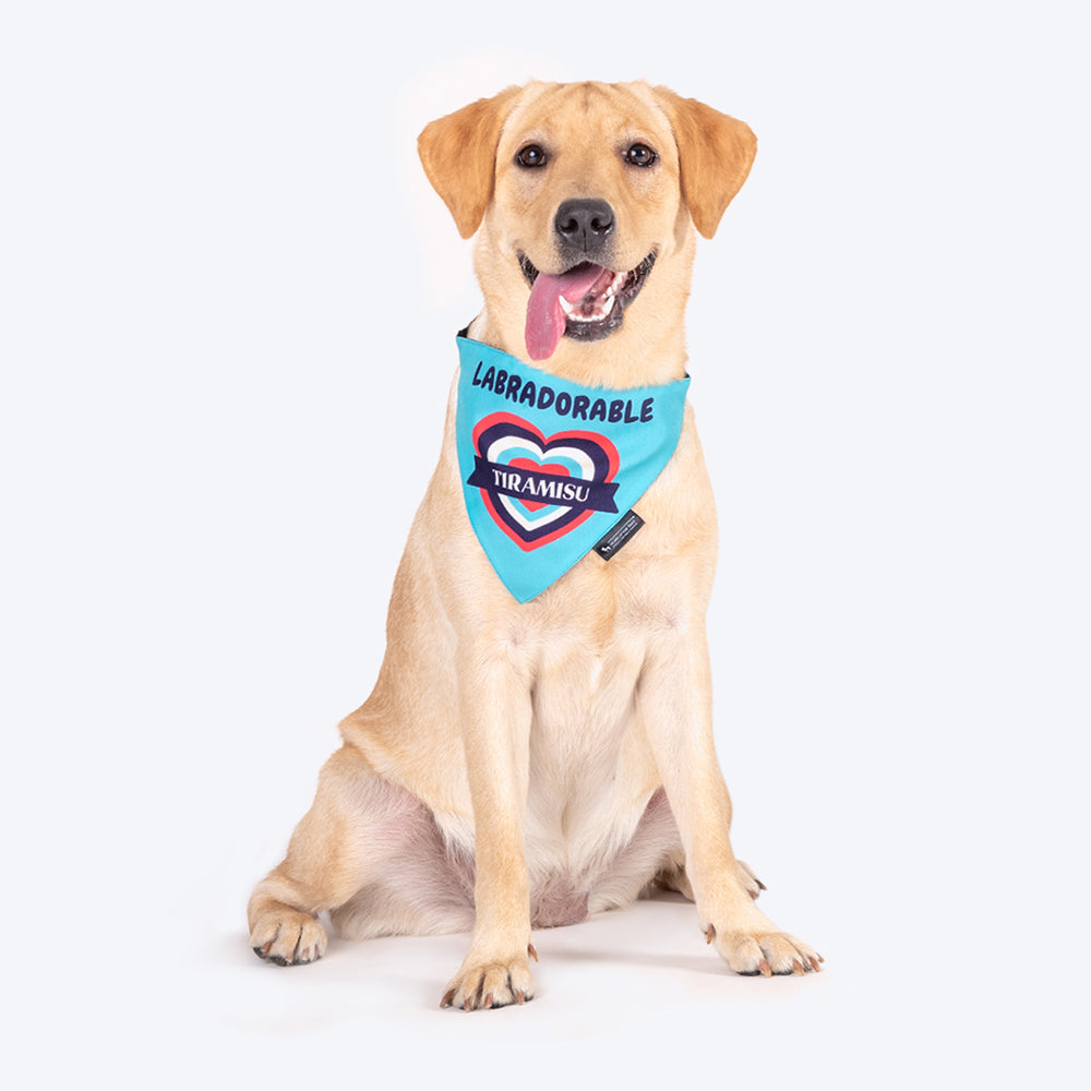 HUFT Personalised Labradorable (Pet's Name) Bandana - Heads Up For Tails