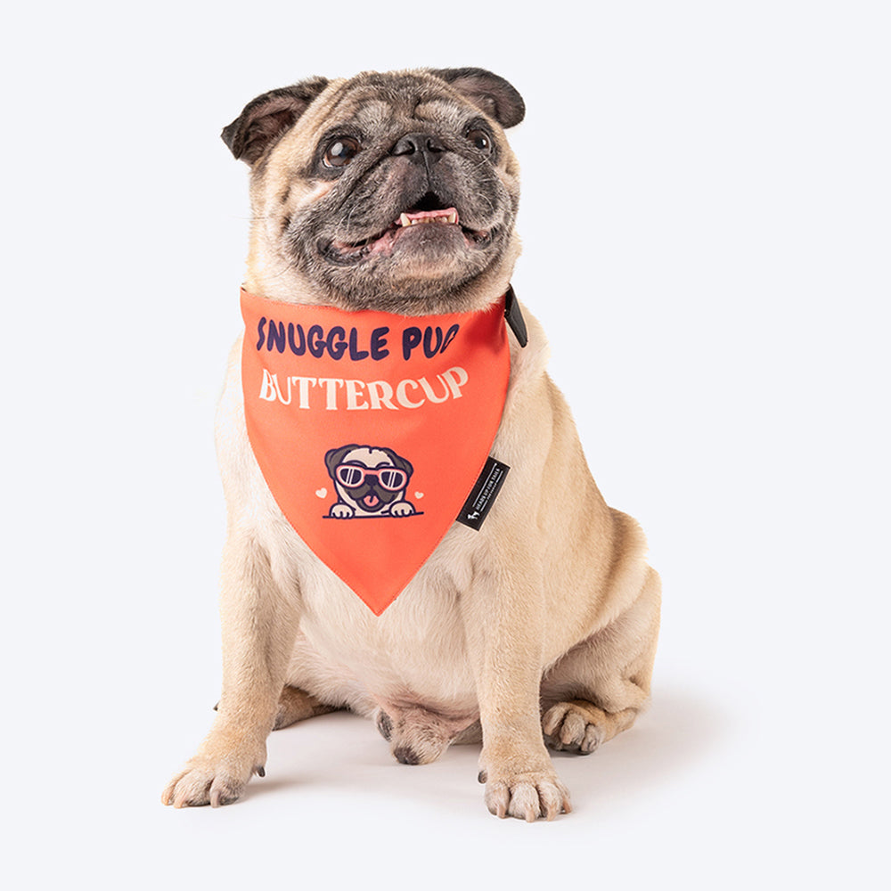 HUFT Personalised Snuggle Pug (Pet's Name) Bandana - Heads Up For Tails