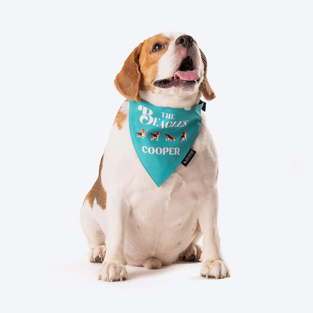 HUFT Personalised The Beagles Pet s Name Bandana Heads Up For Tails